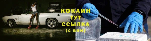 дурь Лабытнанги