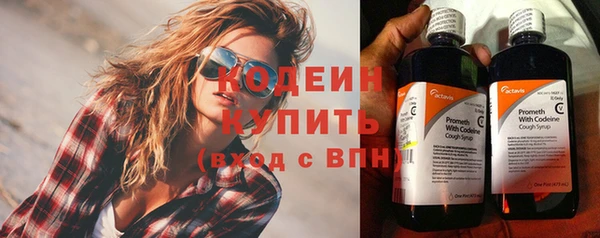 дурь Лабытнанги